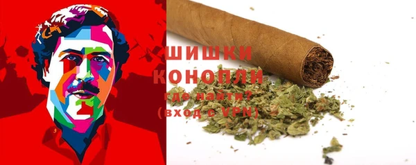 трава Наволоки