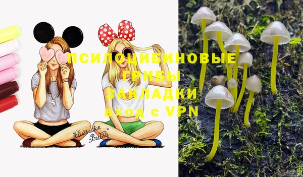 прущие крисы Нея